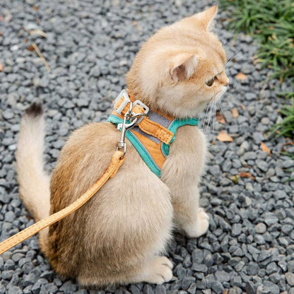 Adjustable Cat Harness Set Petritzy 
